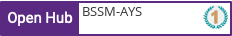 Open Hub profile for BSSM-AYS