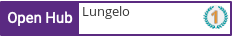 Open Hub profile for Lungelo