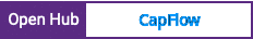Open Hub project report for CapFlow