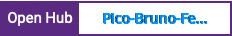 Open Hub project report for Pico-Bruno-Felipe-Kaue