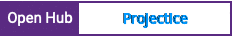 Open Hub project report for ProjectIce