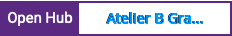 Open Hub project report for Atelier B Graphical User Interface