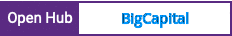 Open Hub project report for BigCapital