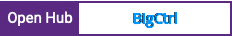 Open Hub project report for BigCtrl