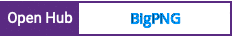 Open Hub project report for BigPNG
