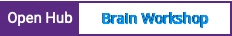 Open Hub project report for Brain Workshop