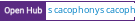 Open Hub project report for brx's cacophony
