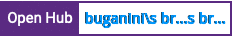 Open Hub project report for buganini's brackets