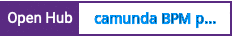 Open Hub project report for camunda BPM platform