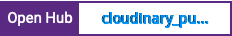 Open Hub project report for cloudinary_pubnub_demo