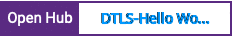 Open Hub project report for DTLS-Hello World VPN