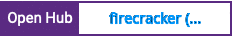 Open Hub project report for firecracker (microvm)