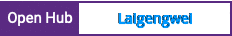 Open Hub project report for Laigengwei
