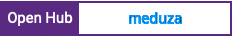 Open Hub project report for meduza
