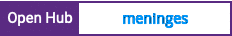 Open Hub project report for meninges