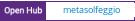 Open Hub project report for metasolfeggio