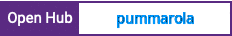 Open Hub project report for pummarola