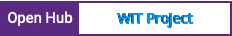Open Hub project report for WiT Project